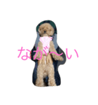 ベリぃ子（個別スタンプ：5）
