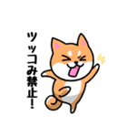 大阪弁の柴犬さん3（個別スタンプ：1）