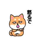 大阪弁の柴犬さん3（個別スタンプ：4）
