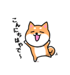 大阪弁の柴犬さん3（個別スタンプ：5）