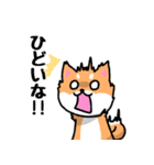 大阪弁の柴犬さん3（個別スタンプ：7）