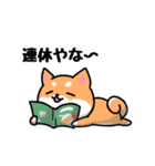 大阪弁の柴犬さん3（個別スタンプ：11）