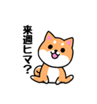 大阪弁の柴犬さん3（個別スタンプ：12）