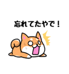 大阪弁の柴犬さん3（個別スタンプ：13）