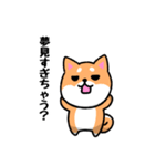 大阪弁の柴犬さん3（個別スタンプ：15）