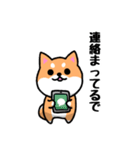 大阪弁の柴犬さん3（個別スタンプ：17）