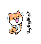 大阪弁の柴犬さん3（個別スタンプ：19）