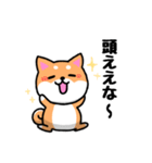 大阪弁の柴犬さん3（個別スタンプ：20）