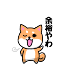 大阪弁の柴犬さん3（個別スタンプ：21）