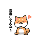 大阪弁の柴犬さん3（個別スタンプ：26）