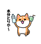 大阪弁の柴犬さん3（個別スタンプ：34）