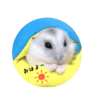 ハムスターのもにょ＆めろ（個別スタンプ：1）