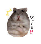 ハムスターのもにょ＆めろ（個別スタンプ：19）