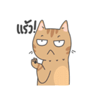 The Meow Moods（個別スタンプ：11）