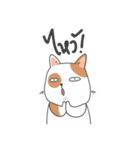 The Meow Moods（個別スタンプ：17）