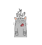 The Meow Moods（個別スタンプ：19）