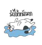 The Meow Moods（個別スタンプ：20）