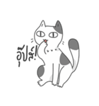 The Meow Moods（個別スタンプ：22）