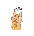 The Meow Moods（個別スタンプ：23）
