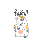 The Meow Moods（個別スタンプ：25）