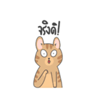The Meow Moods（個別スタンプ：37）