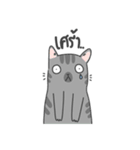 The Meow Moods（個別スタンプ：38）
