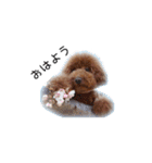 まなさらシスターズ（個別スタンプ：14）
