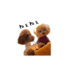 まなさらシスターズ（個別スタンプ：17）