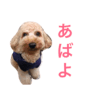 ココ（個別スタンプ：7）