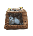 うちのねこちん（個別スタンプ：3）
