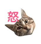 めるすた（個別スタンプ：6）