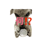 パズーstamp（個別スタンプ：6）