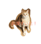 グーコ＆べべstamp（個別スタンプ：1）