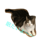グーコ＆べべstamp（個別スタンプ：2）