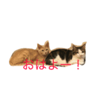 グーコ＆べべstamp（個別スタンプ：7）