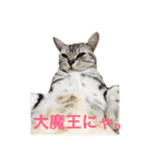 たぶすけフレンズ（個別スタンプ：6）