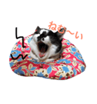 こなすたんぷ（個別スタンプ：1）
