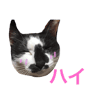 こなすたんぷ（個別スタンプ：2）