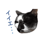 こなすたんぷ（個別スタンプ：3）