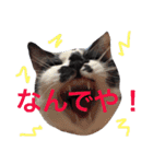 こなすたんぷ（個別スタンプ：5）