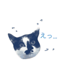 こなすたんぷ（個別スタンプ：6）