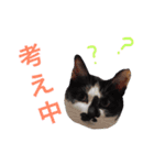 こなすたんぷ（個別スタンプ：7）