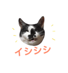 こなすたんぷ（個別スタンプ：8）