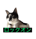 こなすたんぷ（個別スタンプ：16）
