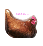 しあわせたまご（個別スタンプ：2）