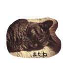 しあわせたまご（個別スタンプ：8）