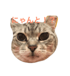 ペンネ（個別スタンプ：1）