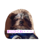 こっちゃん、（個別スタンプ：7）