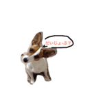ちー（個別スタンプ：7）