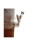 ちー（個別スタンプ：8）